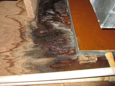 About water damage restoration service - storm damage restoration experts in Austin